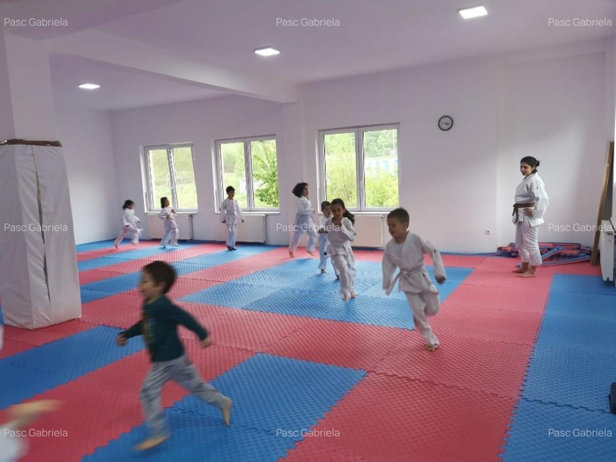 Dau spre inchiriere imobil D.P+2 (1350mp+curte +2 ap) posib schimb destinatie - 4