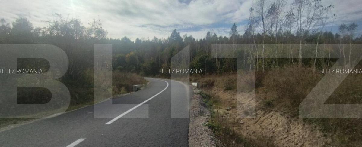 Teren extravilan 5029 mp, pasune impadurita, zona Lacul Mice - 1
