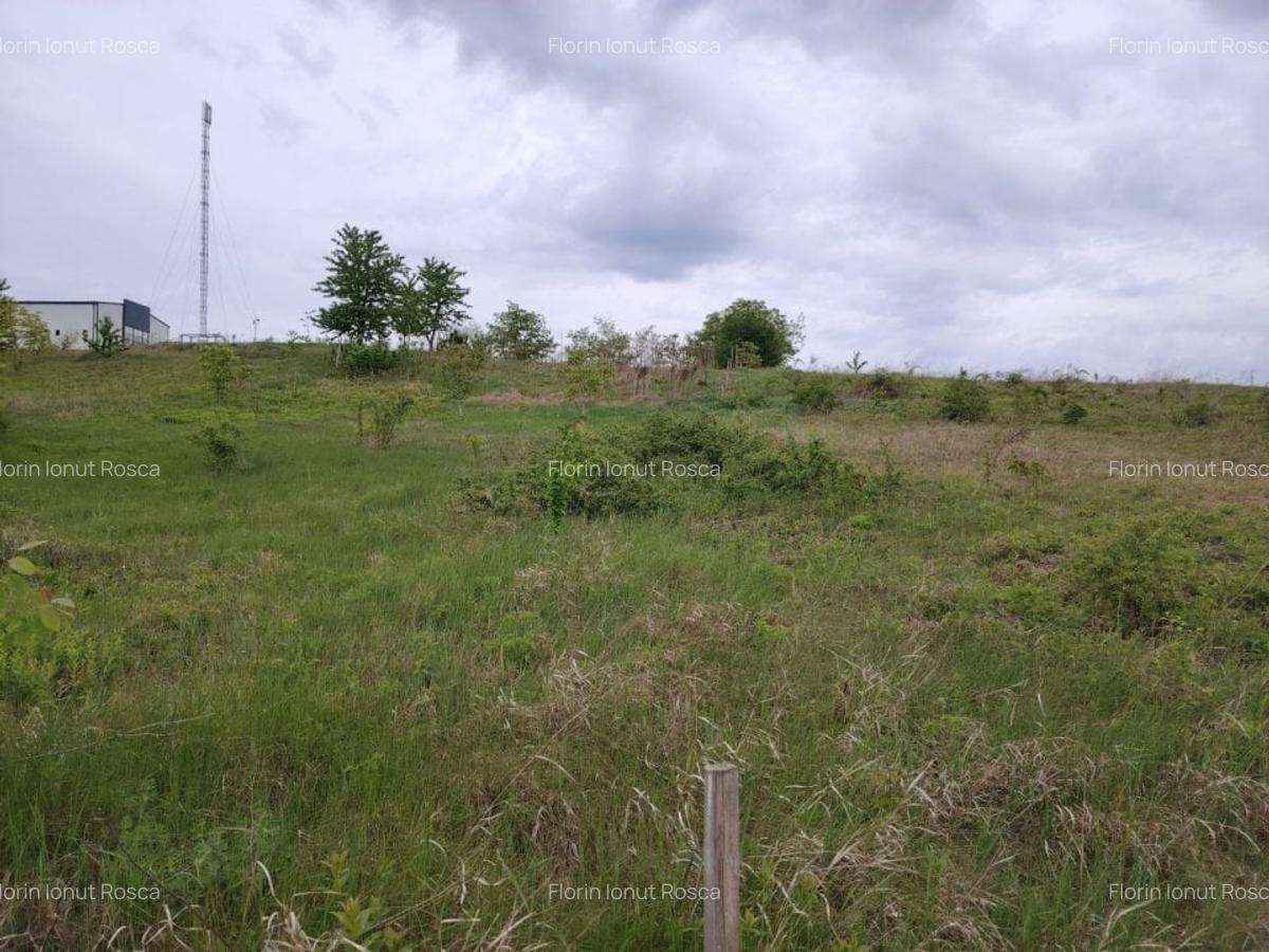 Teren intravilan 1800 mp, Centura-Ciurbesti-dubla deschidere - 1