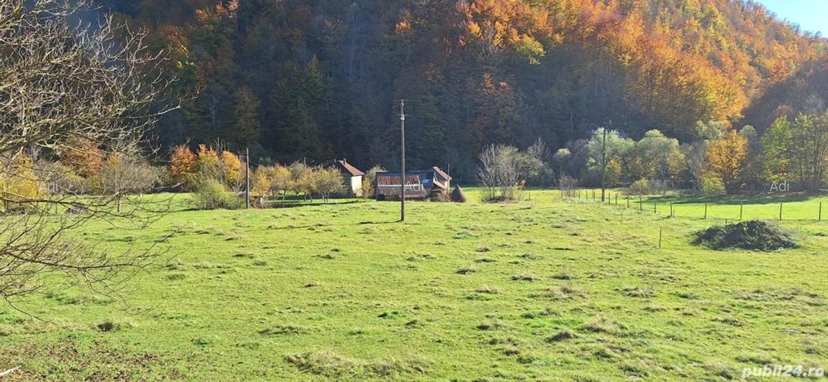 Casa de vanzare Reme?i - 2