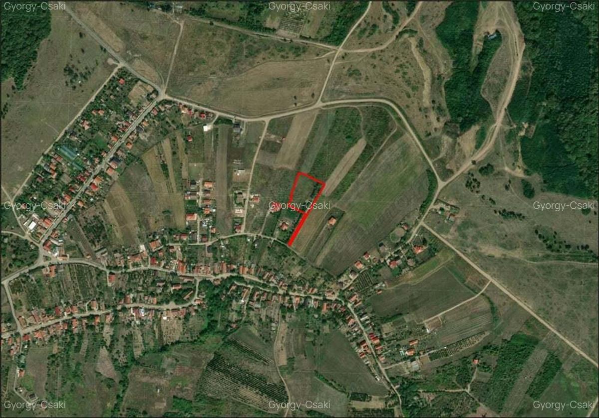 Teren intravilan - Saldabagiu de munte - 5000 mp. - IMOBIHOR - 3