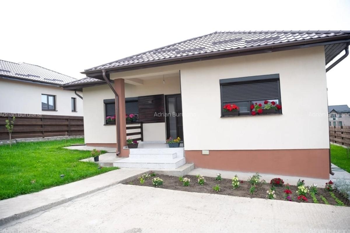Casa Valea Lupului plan parter - 1