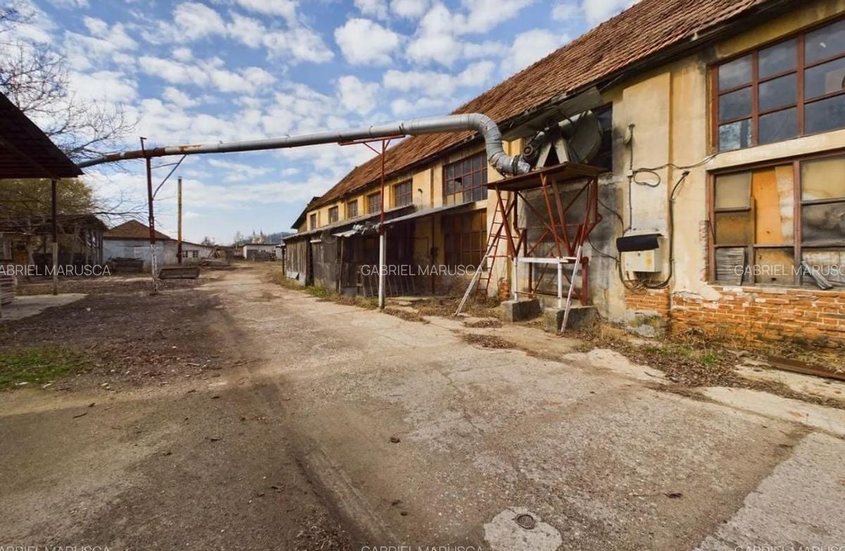 Fabrica prelucrare lemn de vanzare - Lipova, Arad - 11