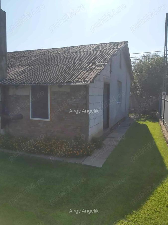 Casa pe pamant de vanzare Valu Traian - 10