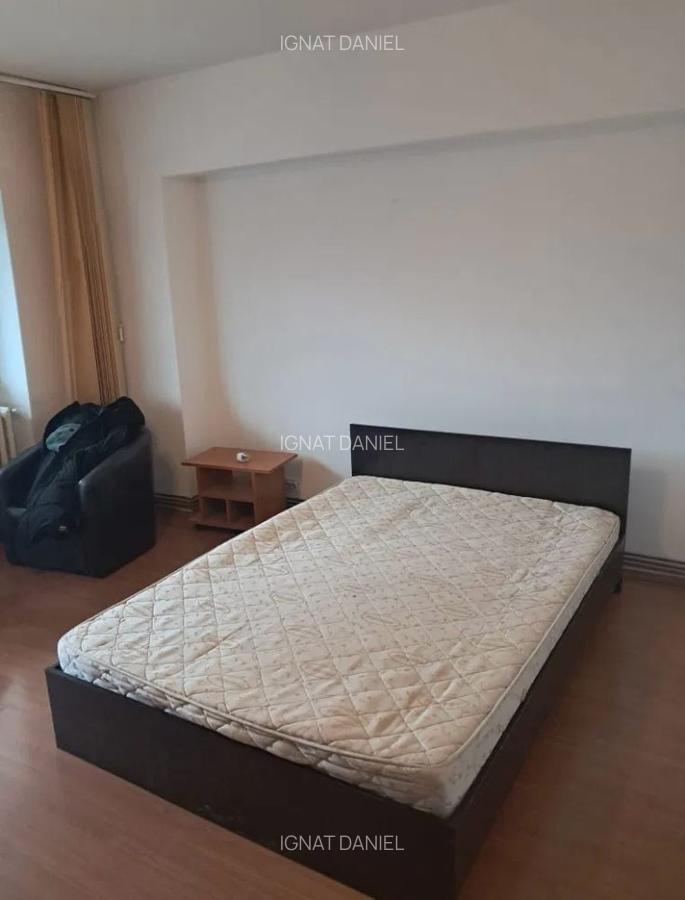 Apartament cu 1 camera, PET FRIENDLY, zona Tatarasi - 2