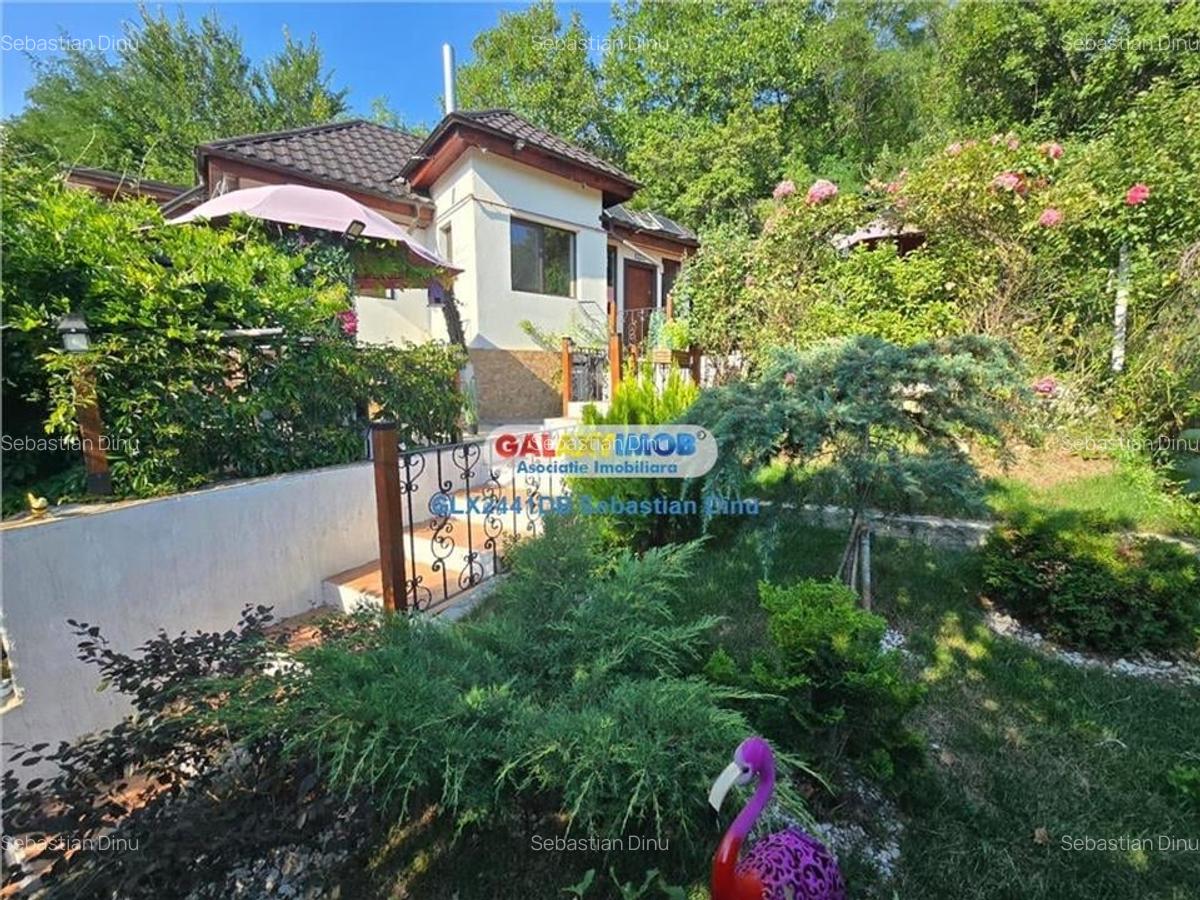 Vanzare casa Razvad - 14