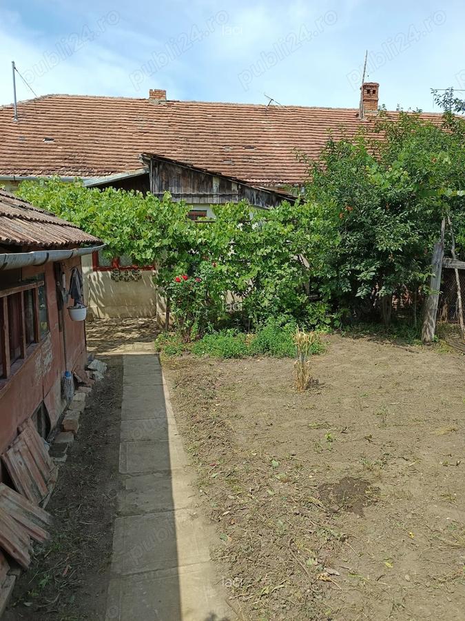 Casa de vanzare! - 7