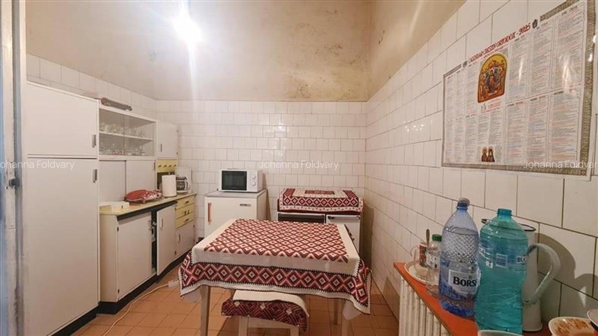 COMISION 0% Casa veche + anexa Timisoara Balcescu - Elisabetin - 3