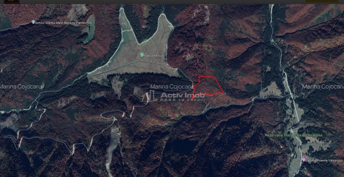 Teren 7 ha, Lac Vidraru, Podis Molivis - 13