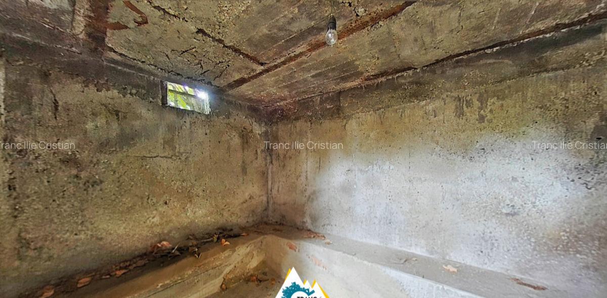 Casa spa?ioasa cu 3 camere, teren generos ?i anexe Curtici, Arad - 12