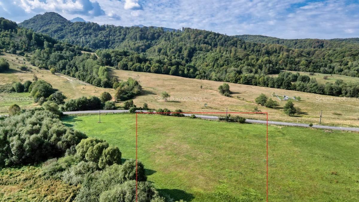 Cheile Rasnoavei DN73A, teren extravilan 3.000 mp, zona de vis, ideal investitie - 6