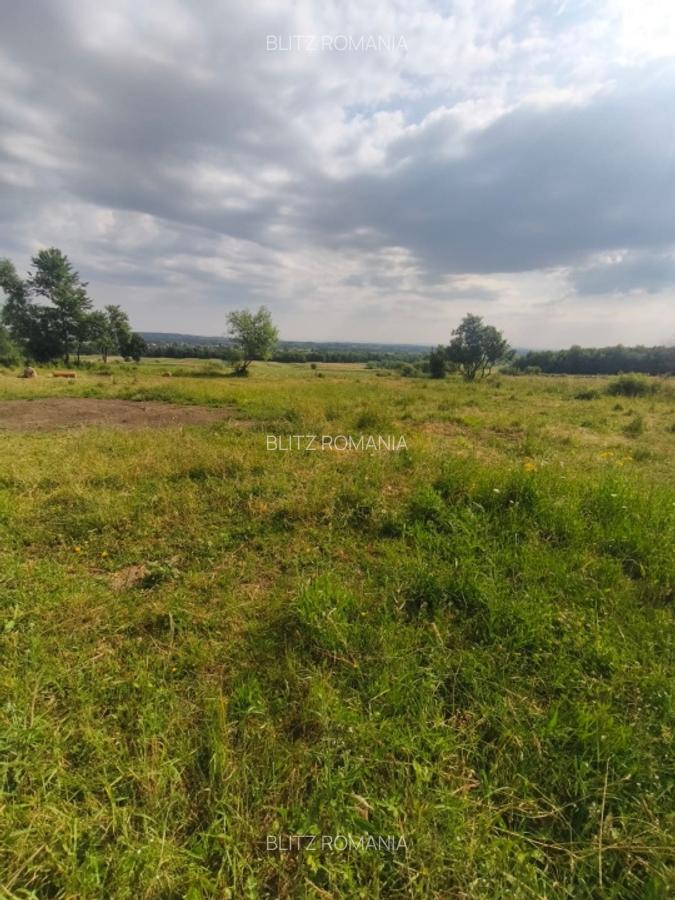 Casa+teren 5000mp, 70ml la DN 2E, zona Cacica, Radauti - 8