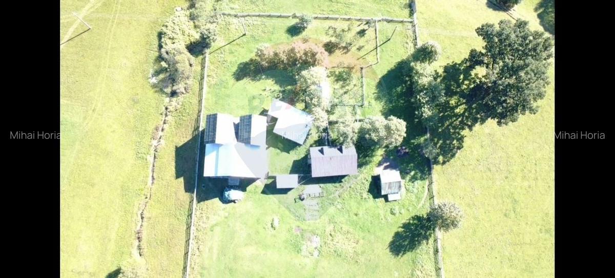 Casa in Vatra Dornei, zona Argestru, cu 11.541m.p. TEREN INTRAVILAN - 5