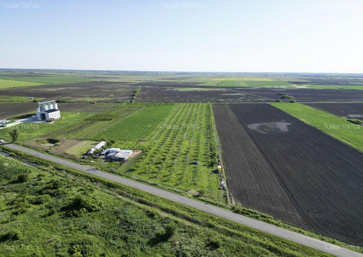 Livada de nuci ?i pruni 2.4ha in Varia?ul Mare - 3