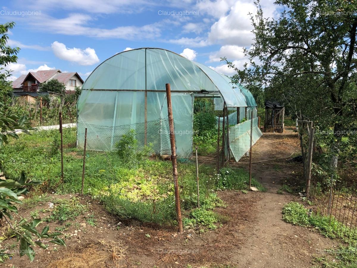 VAND VILA COMUNA BULBUCATA SAT TEISORI - 13