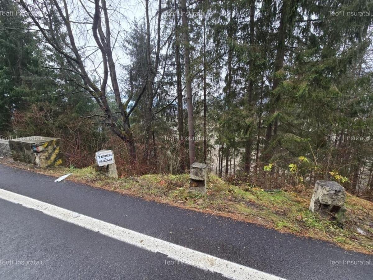 Teren de vanzare Hangu. Intravilan. Deschidere la LAC - 5