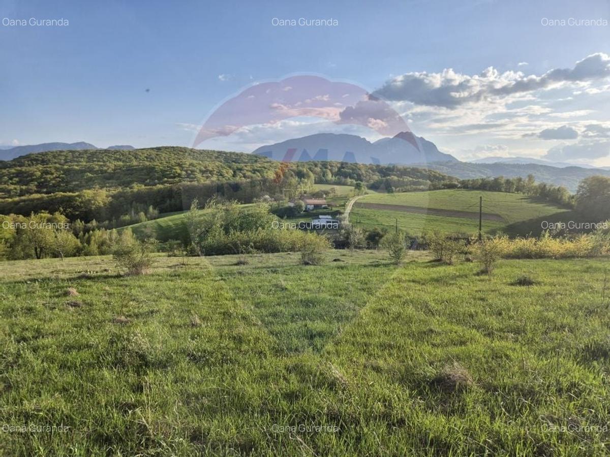 Teren Construcții intravilan de 11600 mp, în Poiana Mărului - 18
