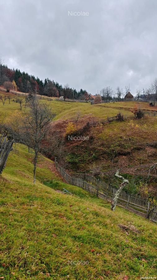 Vand casa locuibila cu teren aferent situata in satul Alun (Comuna Bo?orod) - 3