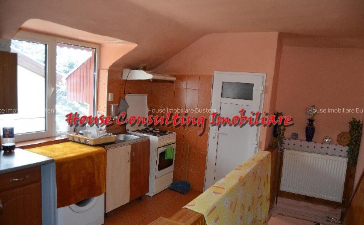 Vila de vacanta in Predeal - 3 Vila de vacanta in Predeal - 3