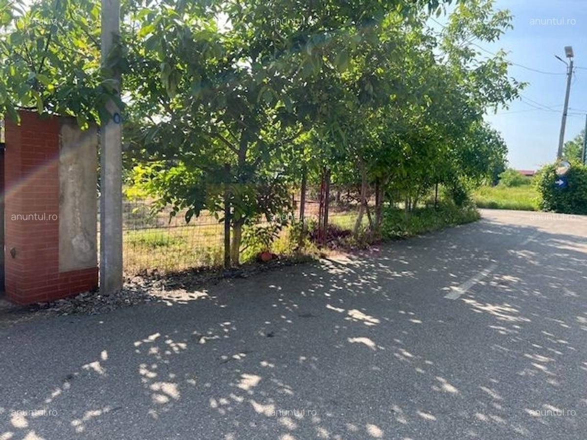Teren Clinceni- Putul Olteni- Crizantemelor - 5