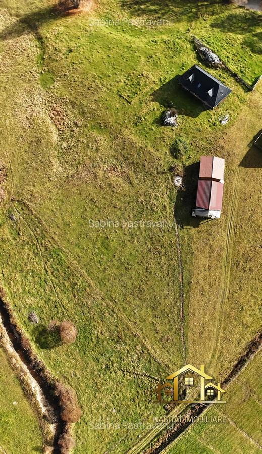 Se vinde casa si teren 3800 mp in Poiana Stampei . - 8