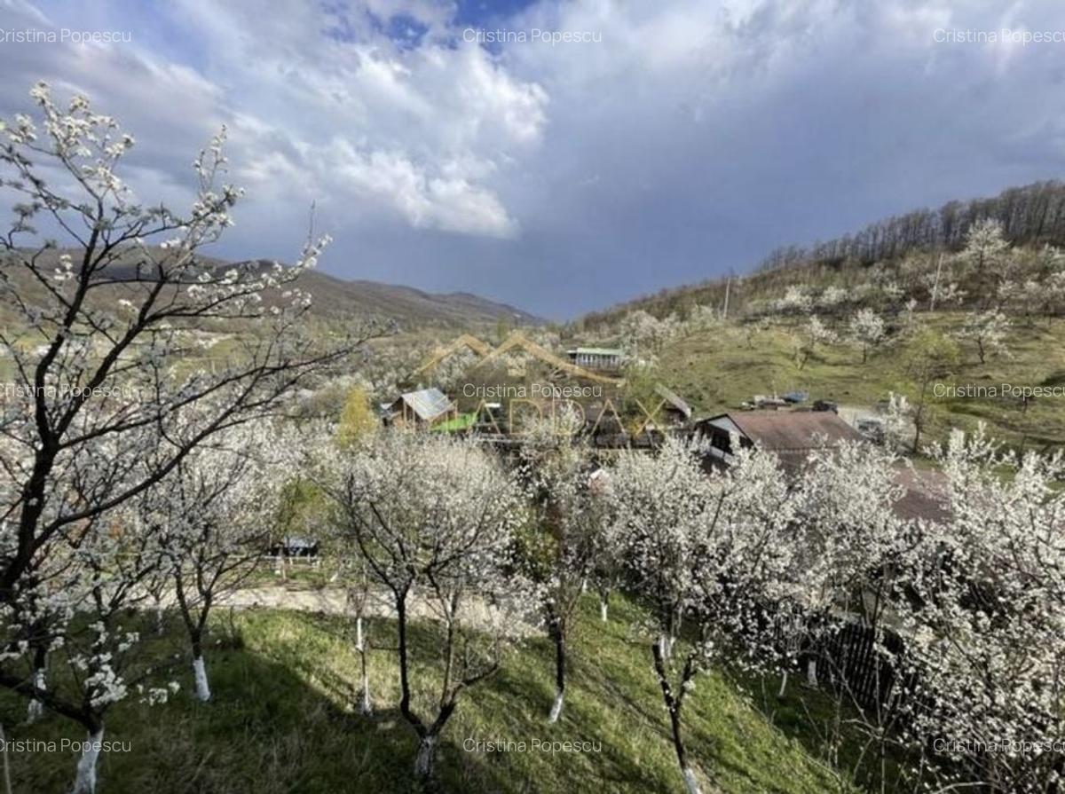 Casa de vacanta**Panorama spectaculoasa//Provita de Jos_Prahova - 5