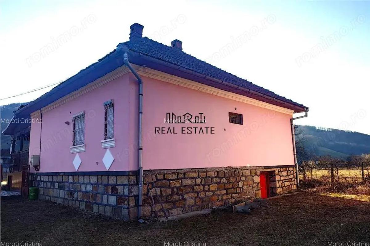 Proprietate cu potential in Apuseni - fosta pizzerie, ideala pentru afacere sau locuinta - 13