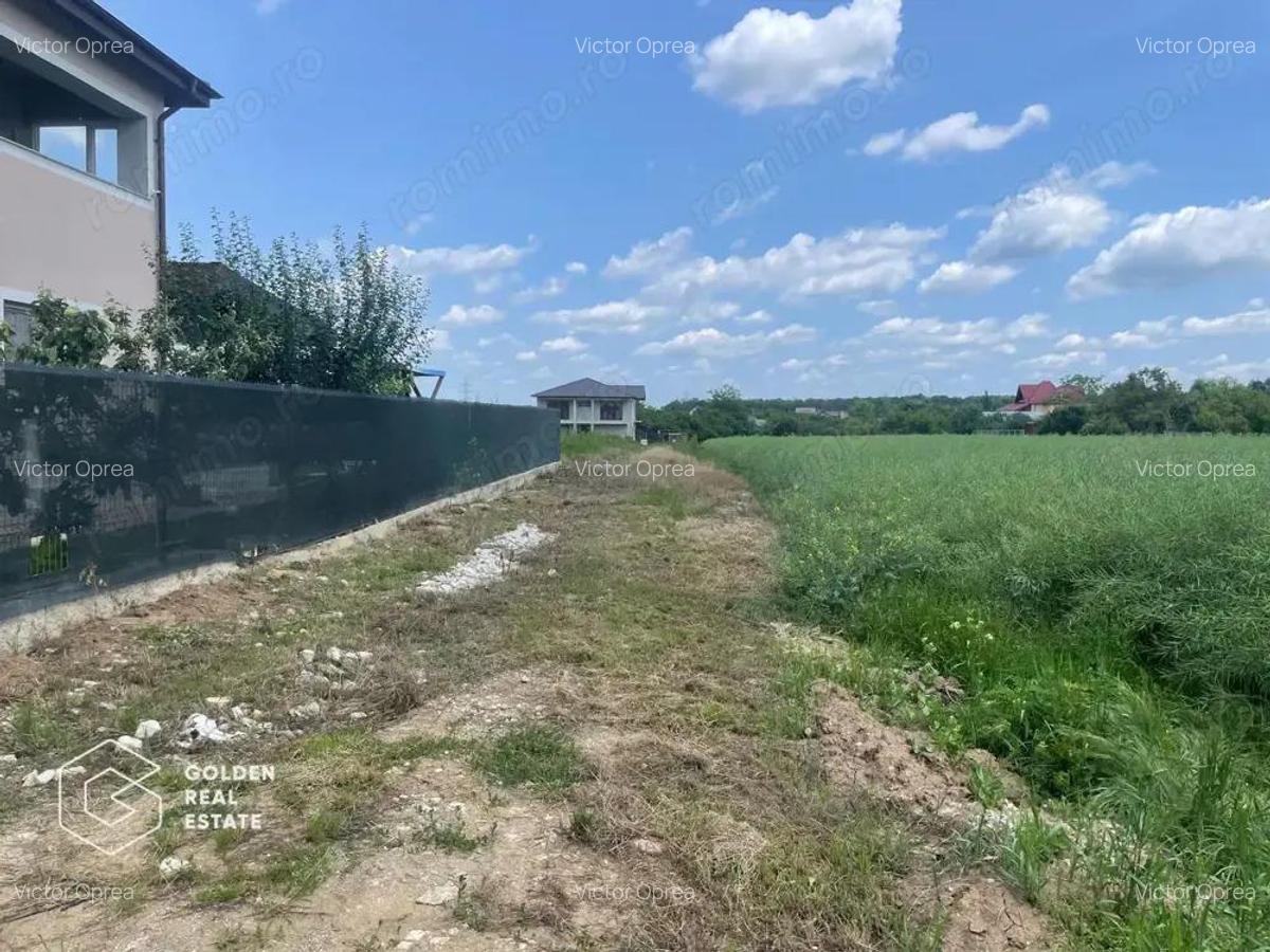 Teren construibil Balotesti, Str. Orhideelor, 1240 mp - 5