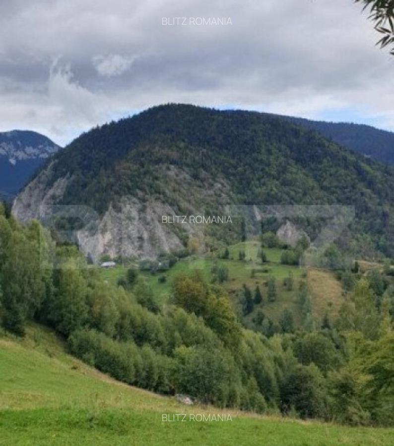 Teren 13.570 mp, Moieciu Pestera - 33