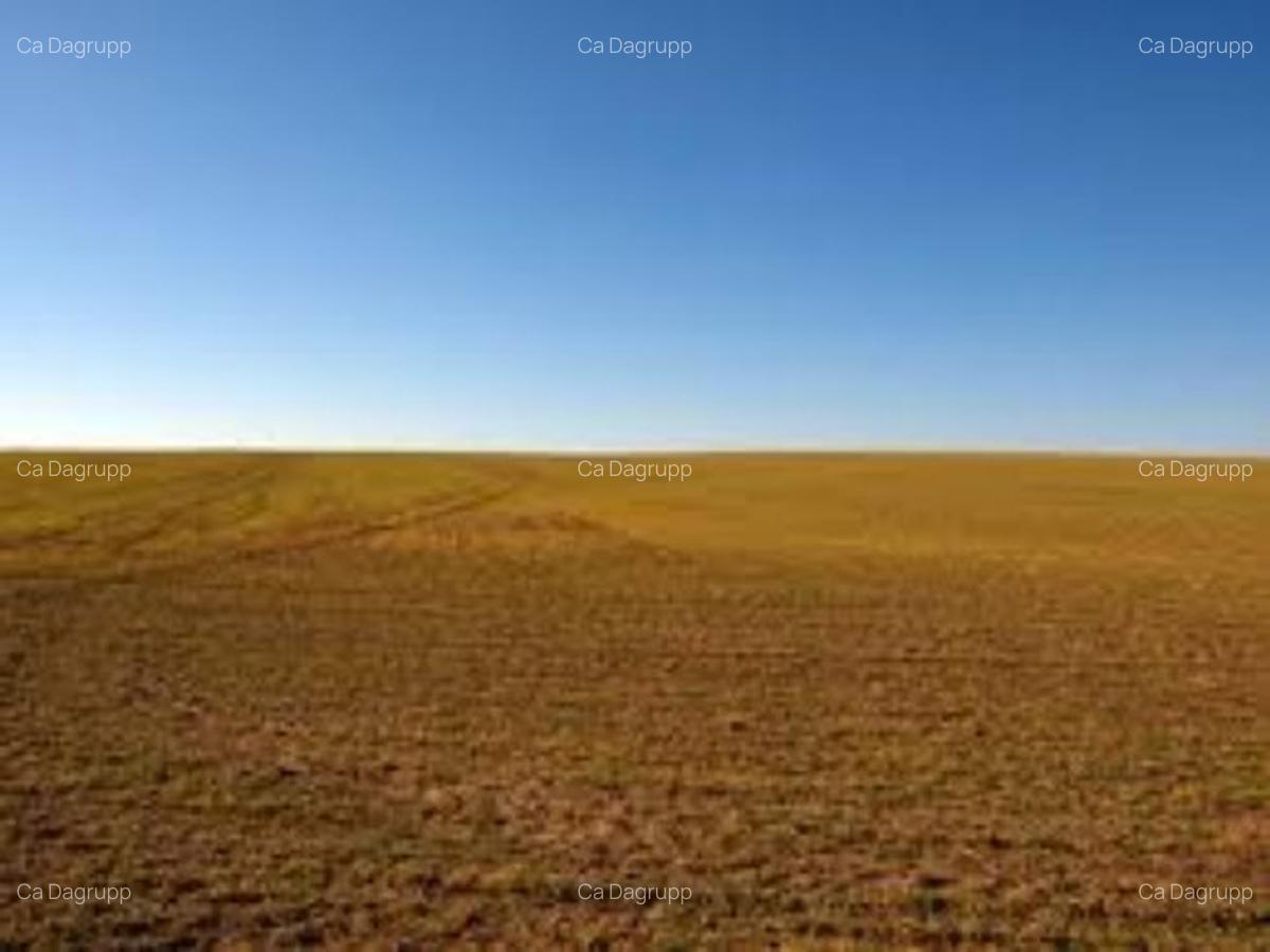 9,2 ha teren agricol la Poiana Mare judetul Dolj - 1