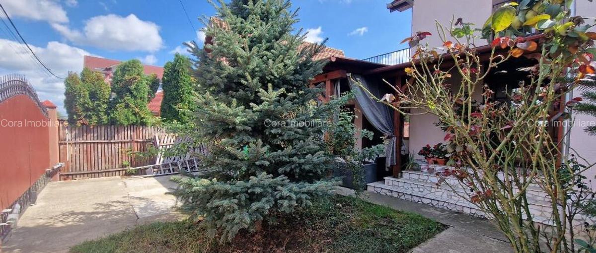 Casa de vanzare, Sanmartin la intrarea in localitate - 18
