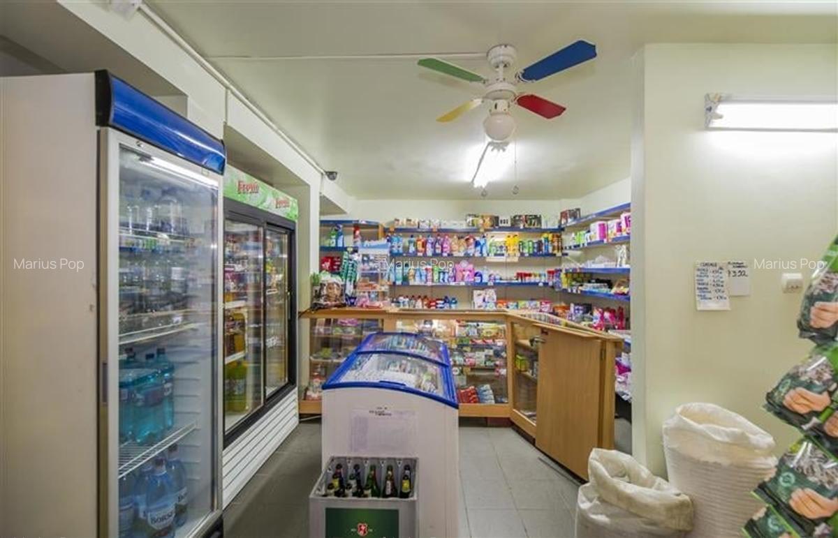 Spațiu comercial, 101 mp în Noua - 4
