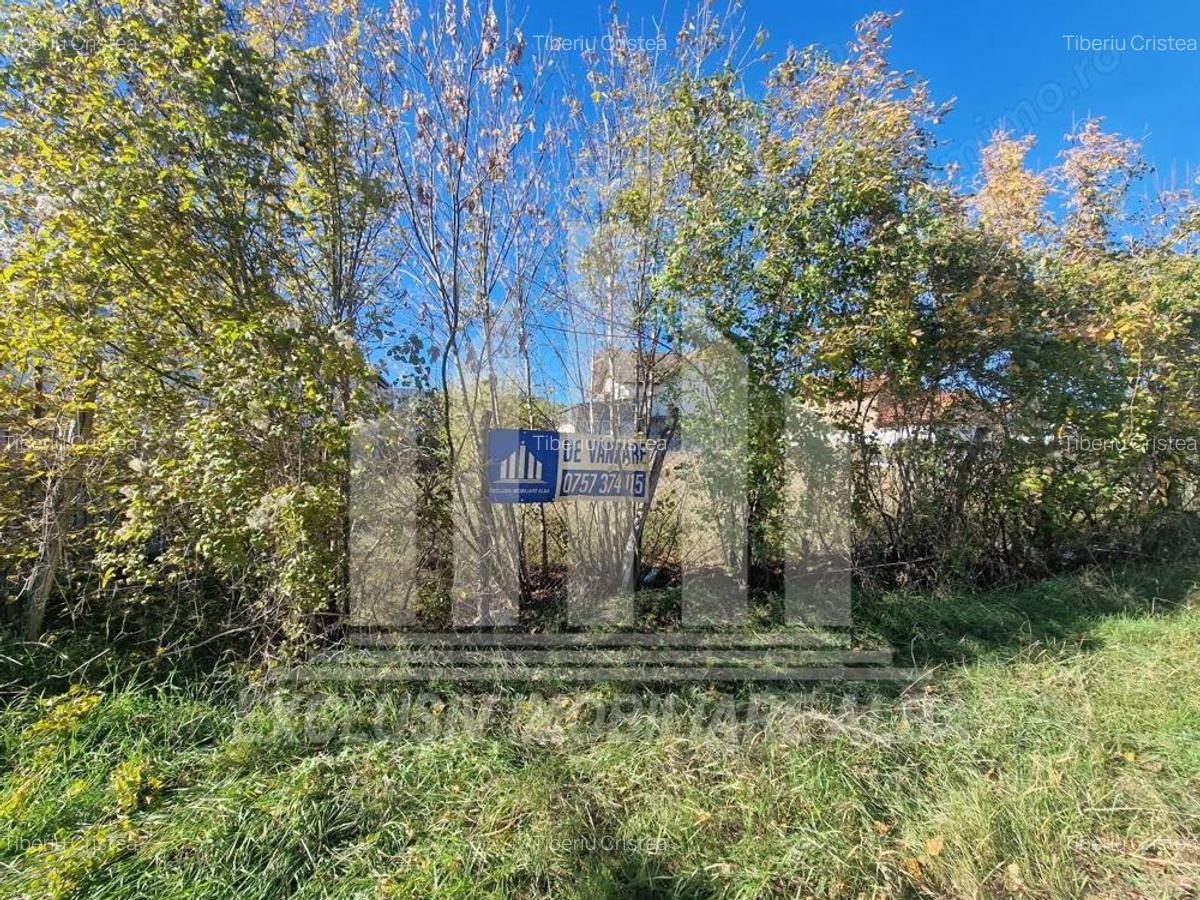 Teren intravilan de vanzare, toate utilitatile, Cetate - 6 Teren intravilan de vanzare, toate utilitatile, Cetate - 6