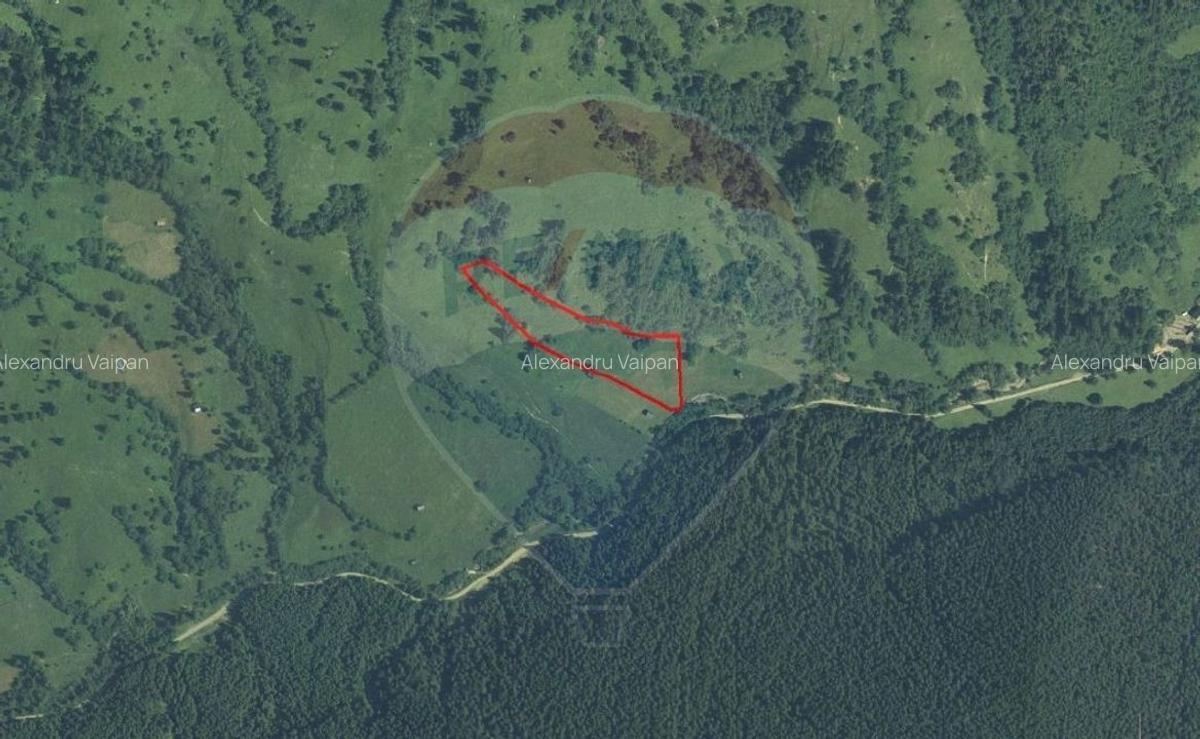 Teren 12,127mp Frasin / Drumul Forestier Valea Seaca - 14