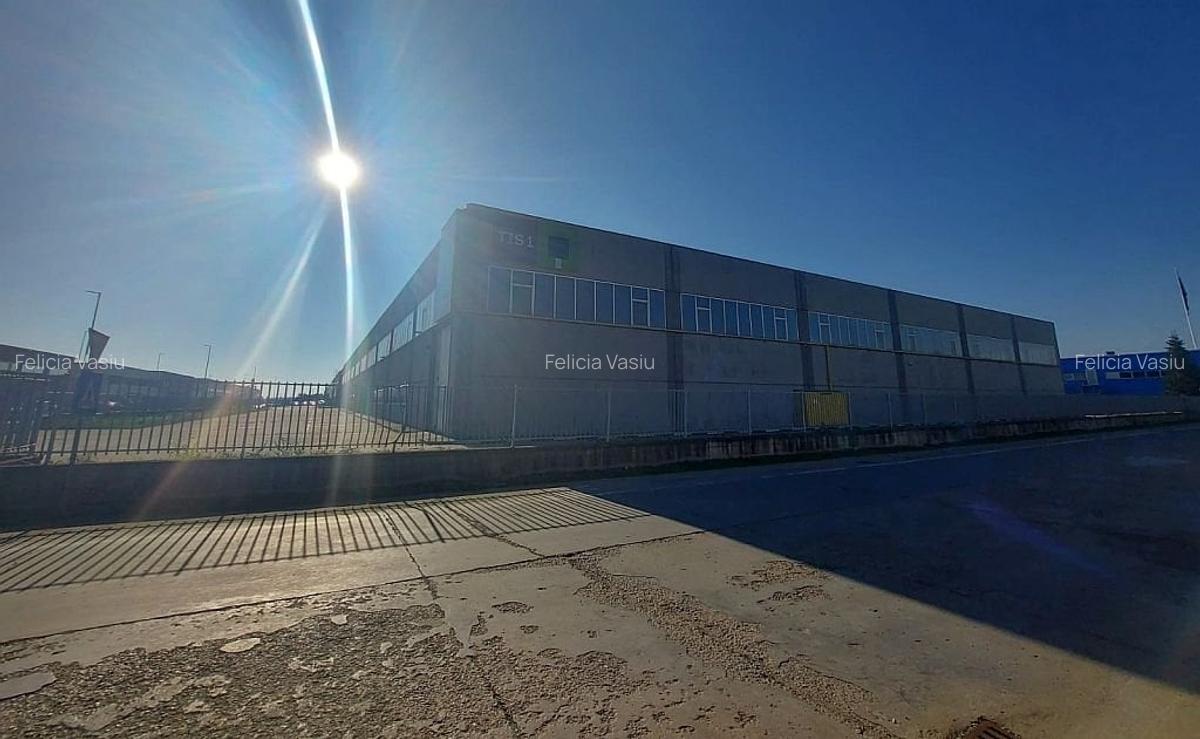 Spațiu industrial, 12876 mp în Sud - 2