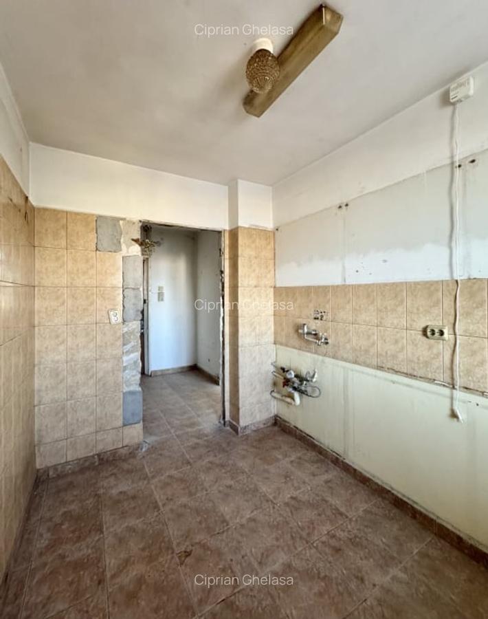Apartament in zona Camil Ressu-Fizicienilor-Nicolae Grigorescu Metrou, - 10