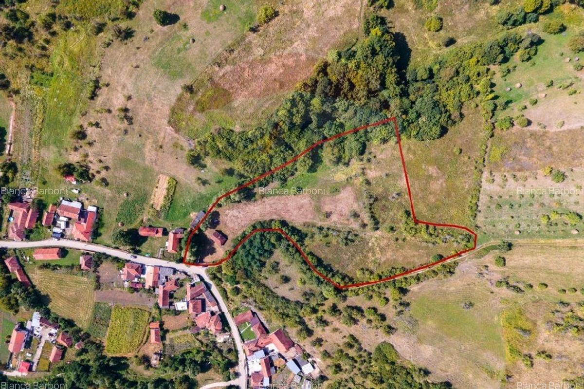 Casa veche cu teren ,Varmaga jud Hunedoara - 6