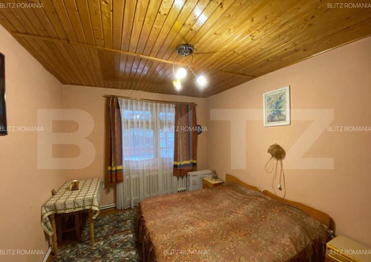 Vila cu potential de transformare in pensiune, 13 camere, Ti - 7