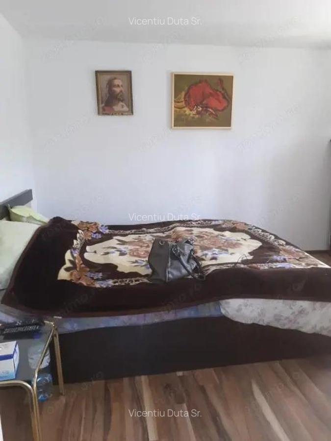 VAND CASUTA CU 1000 MP TEREN, SURDESTI BREAZA - 13