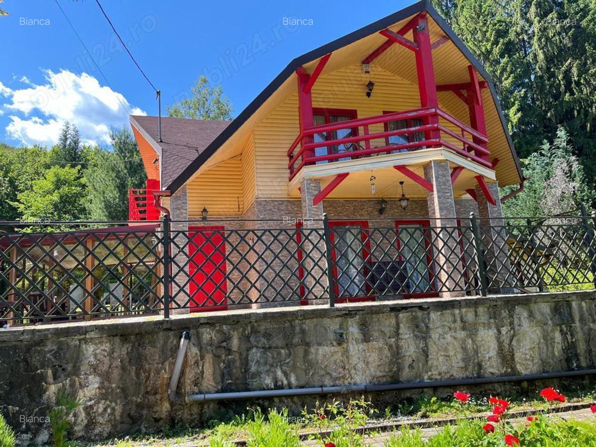 Cabana de vacanta spatioasa, eleganta, cu arhitectura clasica, adaptata la cerintele zonei de munte. - 2