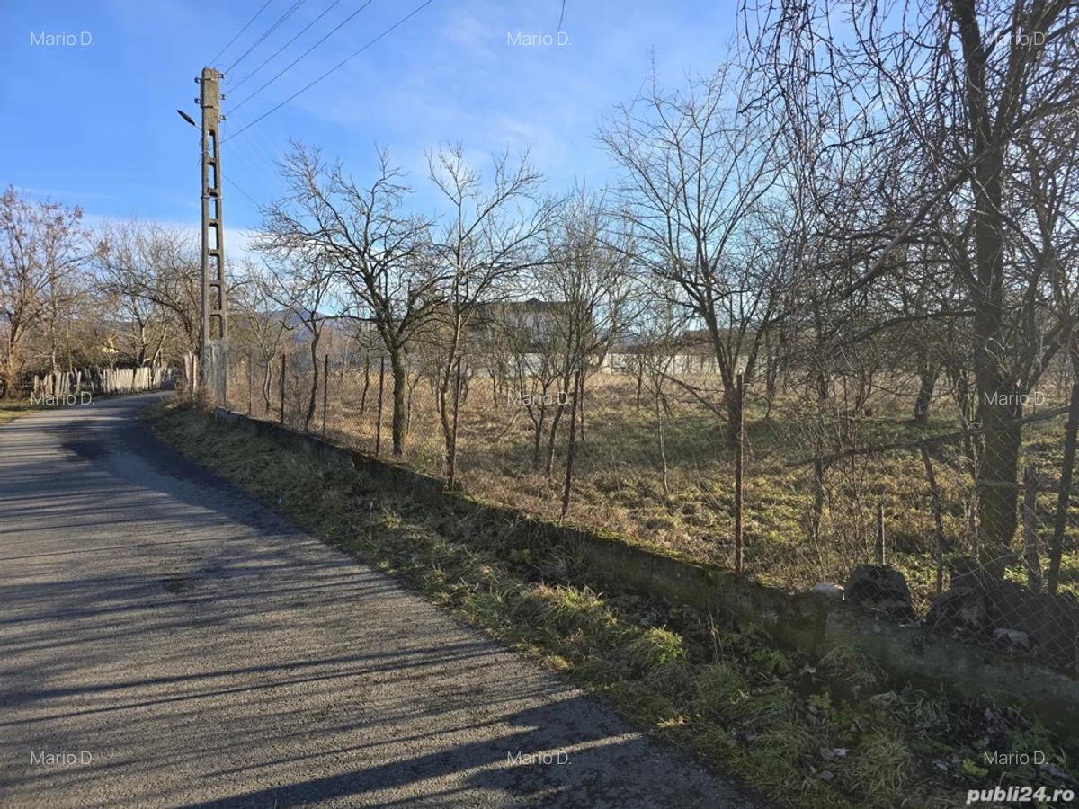 Casa in comuna Bosorod - 10