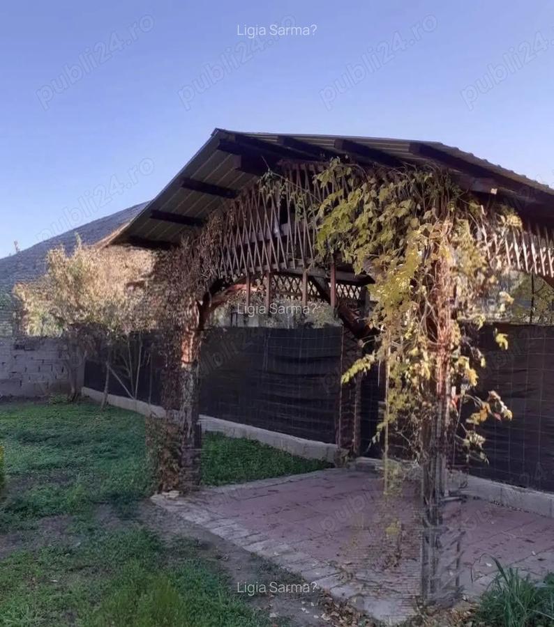 Vand casa Pecica - 4