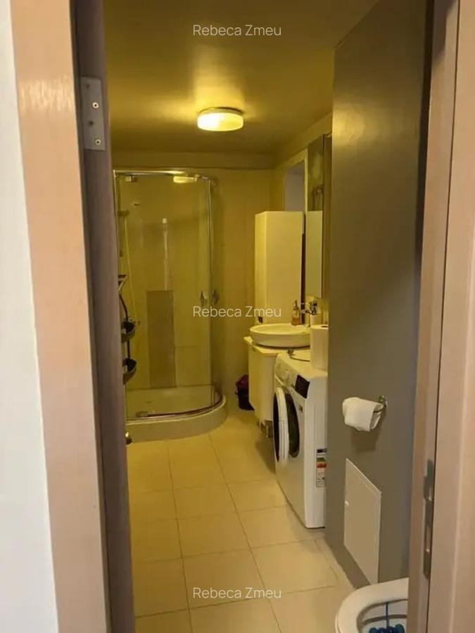 Apartament 2 Camere| Tribunal| Unirii - 13