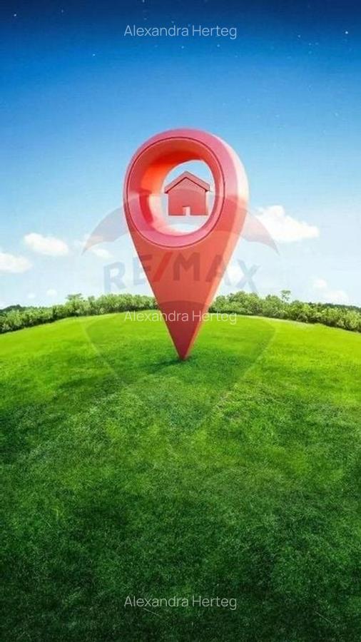 Teren extravilan cu iesire la drumul principal- Pecica, Arad - 1