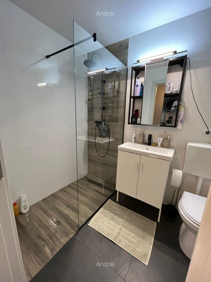 Cartier Brancusi ANL Coloana infinitului - 9