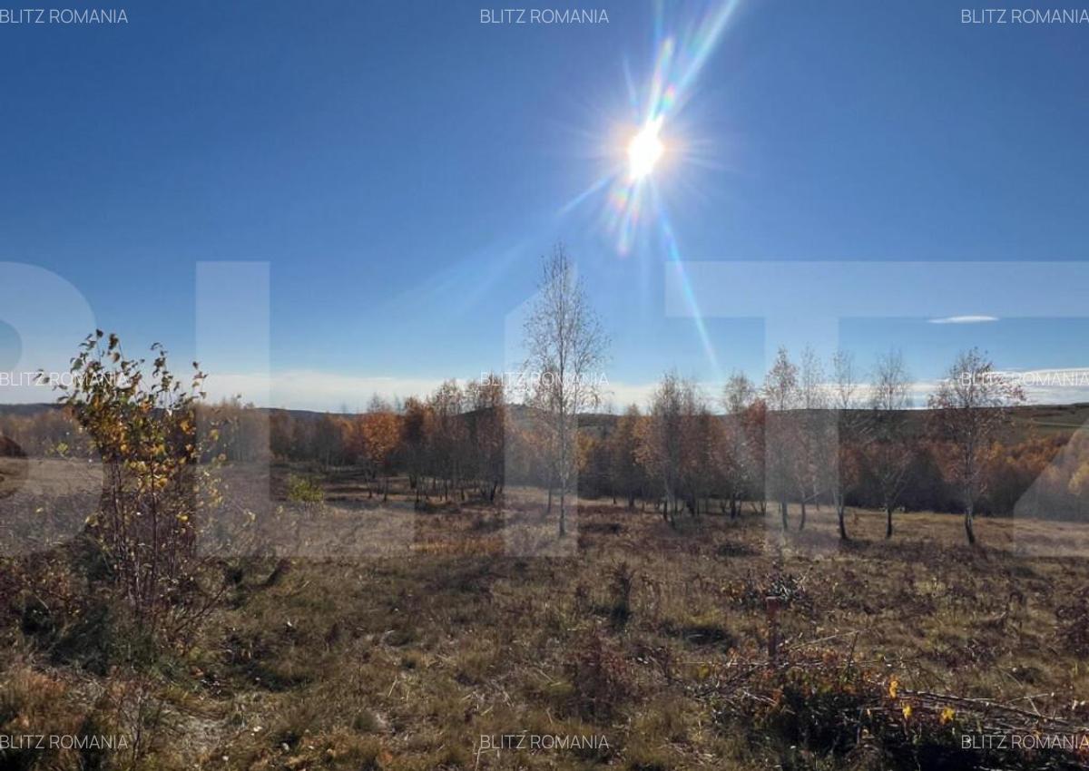 Teren construibil de vanzare, zona casele Micesti - 1