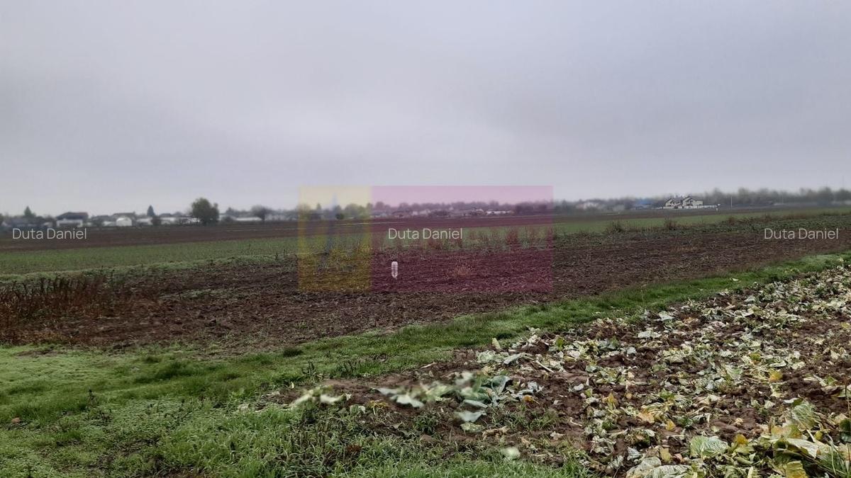 Teren Investiție aproape de București - 8