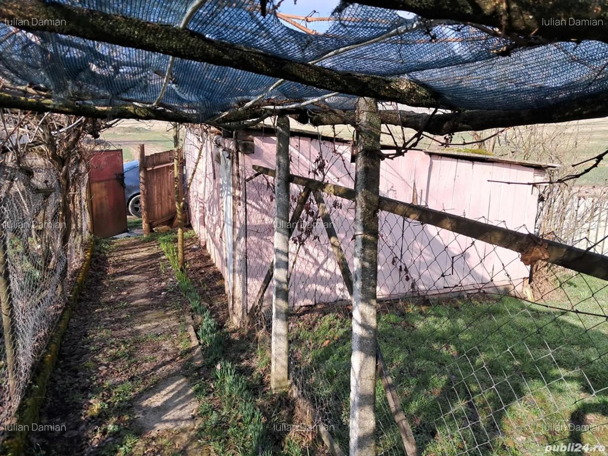 Casa jude?ul Vaslui - 5