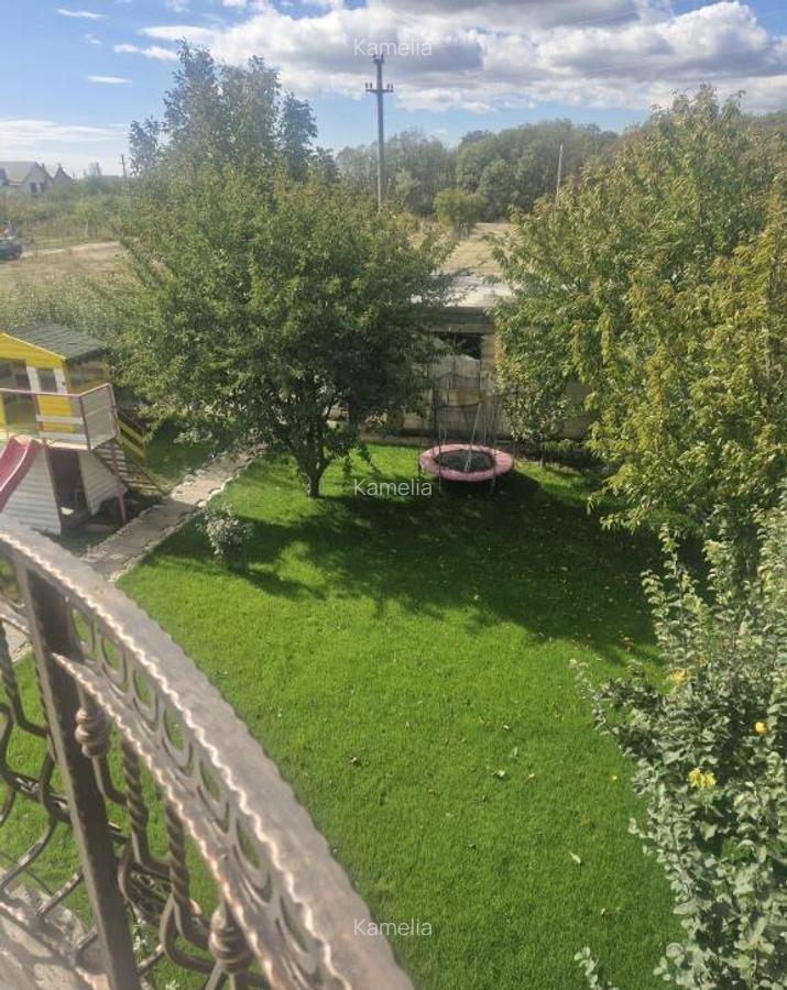 Casa Spataru Buzau - 19