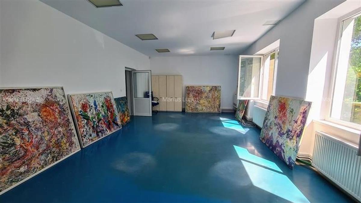 Cladire multifunctionala SAD, 750 mp utili, Semicentral - Timisoara - 3